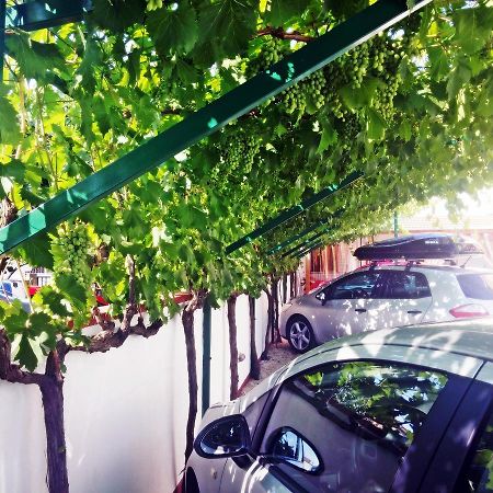 Apartments Eugen Pedisic Турань Экстерьер фото